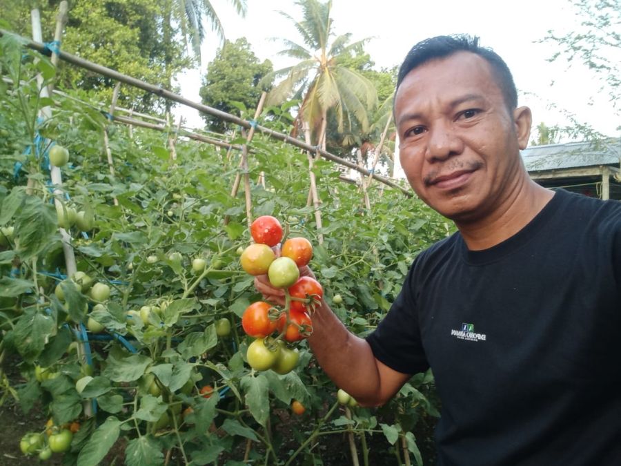Dukung Ketahanan Pangan Daerah, Aparat Kampung Bowongkulu Manfaatkan Lahan Pekarangan