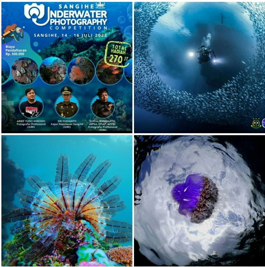 Tidak Masuk Dalam Lokasi Prioritas Wisata Selam, Foto Bawah Laut Pelabuhan Petta Sangat Mengejutkan