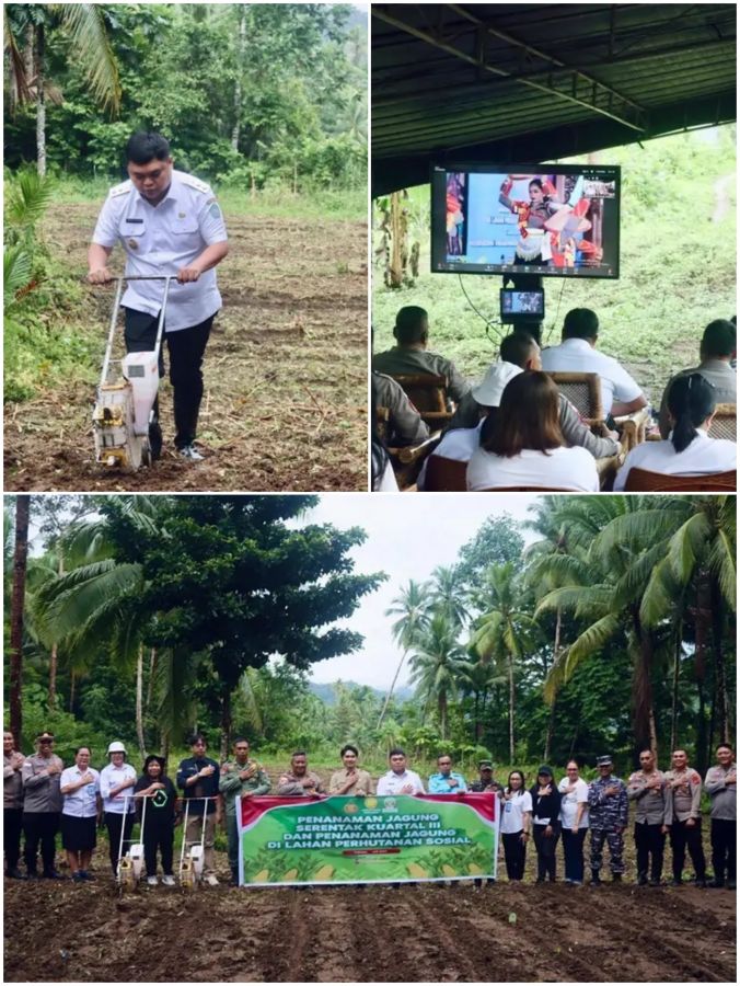 Wabup Sangihe Dukung Ketahanan Pangan Lewat Penanaman Jagung Serentak