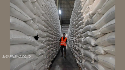 Indonesia Siapkan Kontrak Ekspor 500.000 Ton Beras ke Malaysia